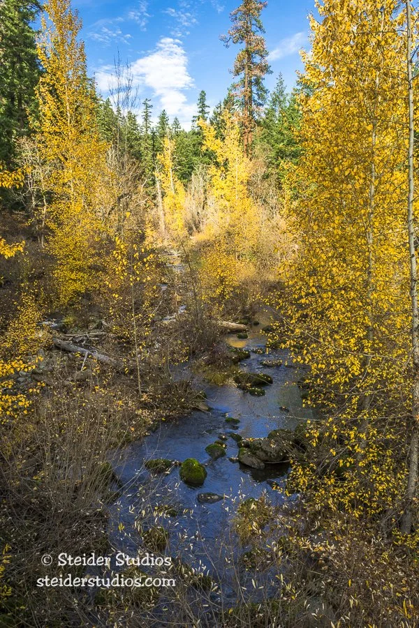 Steider Studios.Klickitat River.11.2.16.jpg