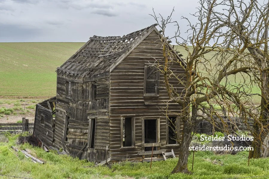 Steider Studios.Abandoned Homestead.5.11.17.jpg