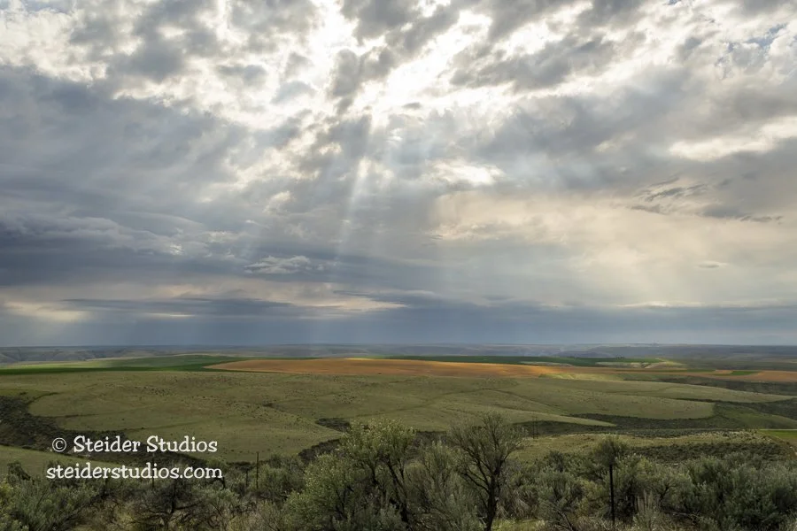 Steider Studios.Enroute Home.Hwy 206.4.27.18.jpg