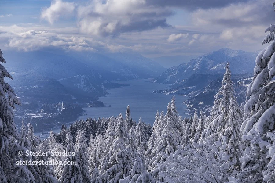 Columbia River Gorge Bathed in White