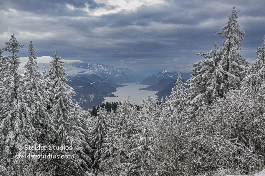 Steider Studios.Snow.CRG.1.5.23.jpg