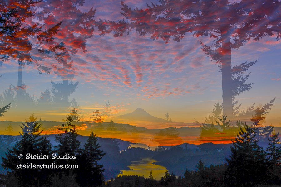 Steider Studios.Triple Exposure.11.8.14.jpg