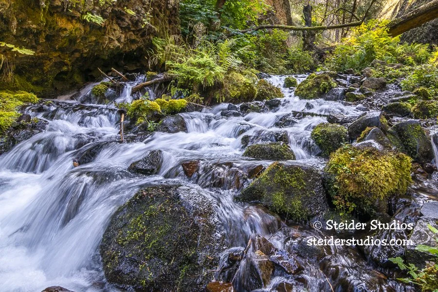 Silky Wahkeena Creek with Ferns