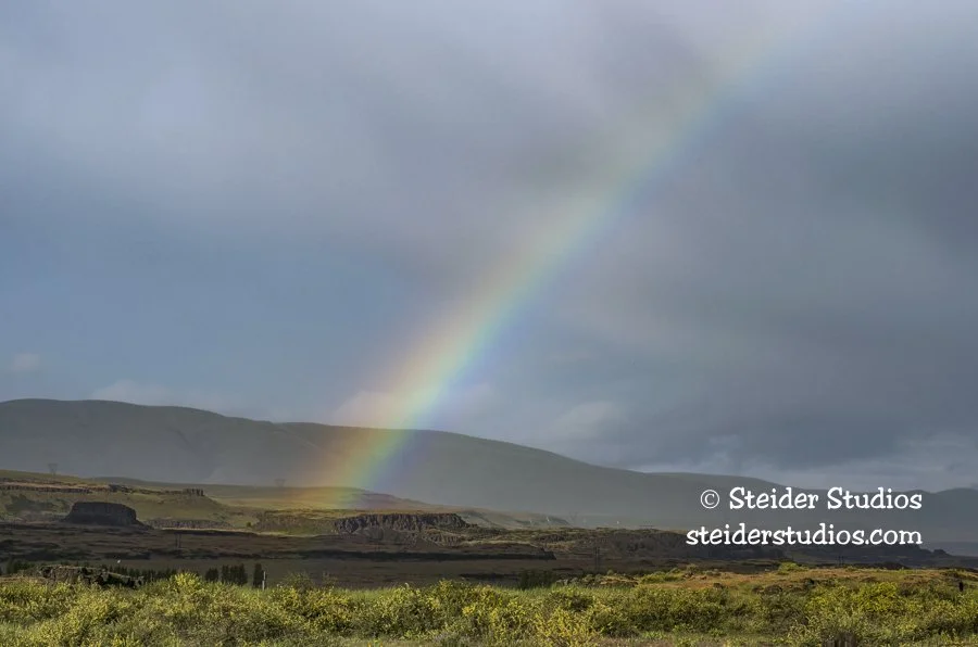 Steider Studios.Rainbow.Horsethief.4.27.14.jpg