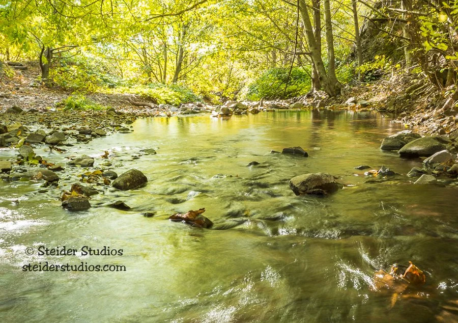 Steider Studios.Dog Creek.10.15.15.jpg