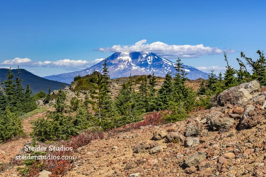 Steider Studios.Mt Adams from Red Mountain.9.15.16.jpg