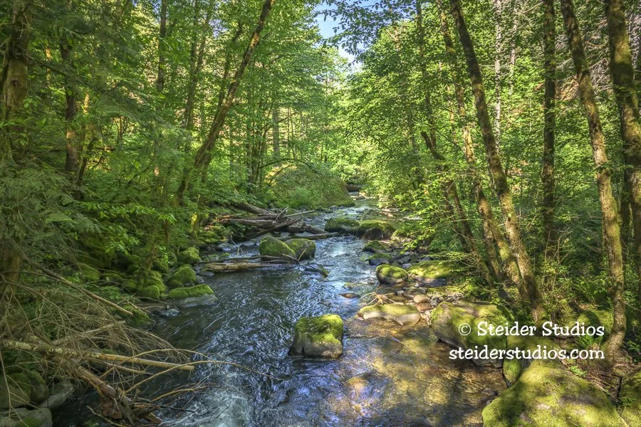 Steider Studios.Herman Creek.5.21.25.jpg