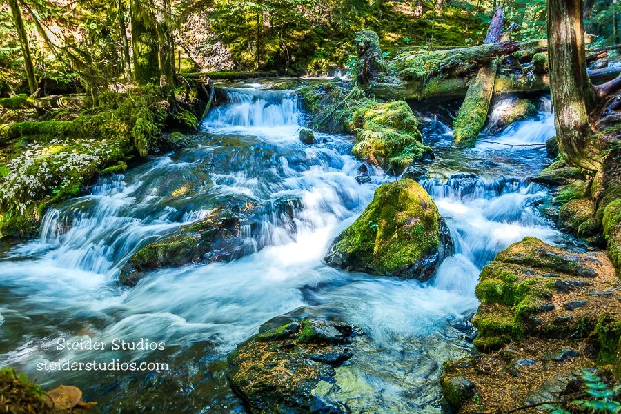 Steider Studios.Panther Creek.10.12.15.jpg