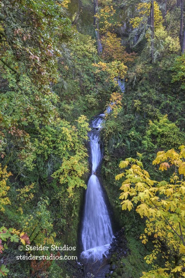 Steider Studios.Shepperd's Dell Falls.10.29.25.jpg