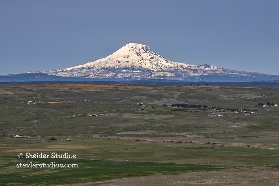 Steider Studios.Mt Adams from DMR Rd.3.24.22.jpg