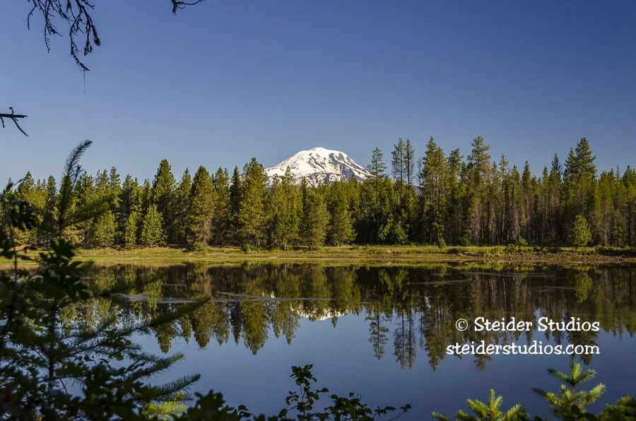 Steider Studios.Mt. Adams Reflecting in Mill Pond.6.30.14.jpg