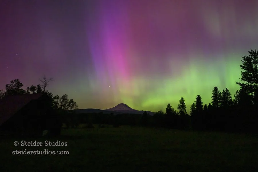 Steider Studios.Aurora.Z8.5.10.24-36.jpg