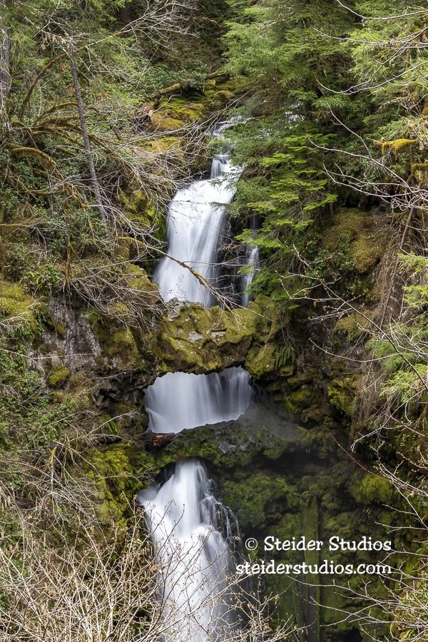 Steider Studios.Curly Creek Falls Detail.4.7.21-1.jpg