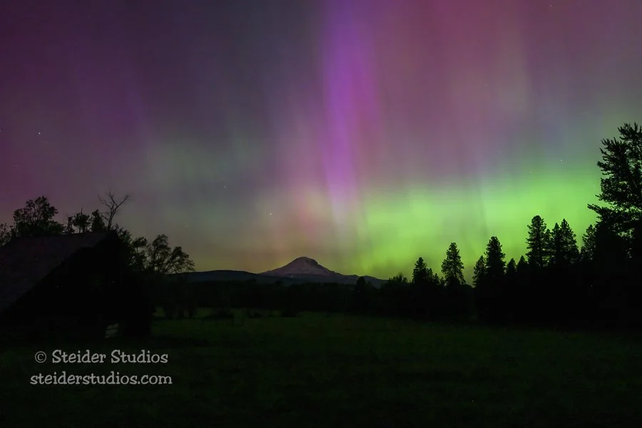 Steider Studios.Aurora.Z8.5.10.24-33.jpg