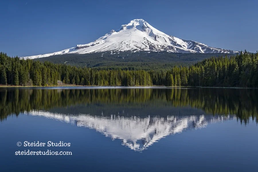 Steider Studios.Mt Hood.Trillium.4.18.15.jpg