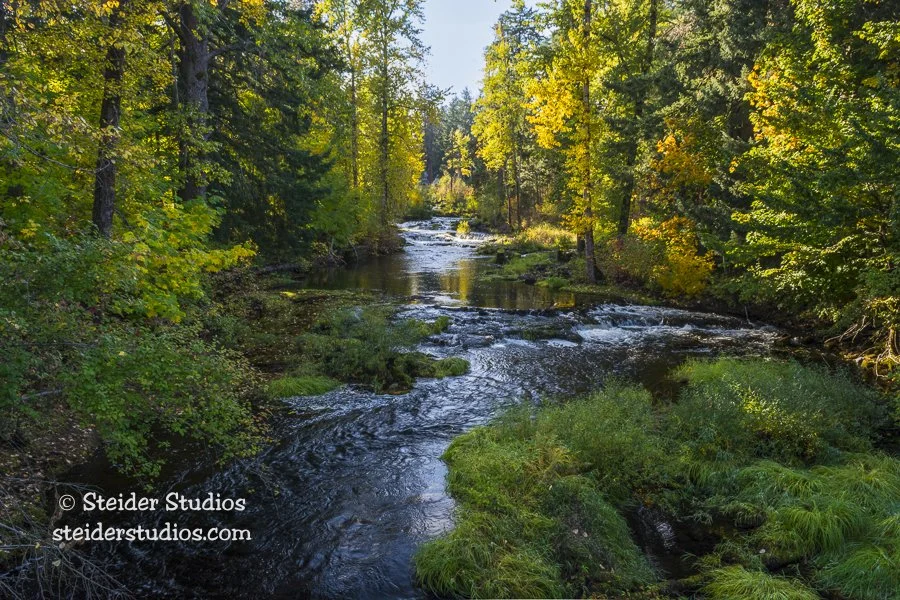 Steider Studios.Trout Creek.10.19.14-2.jpg