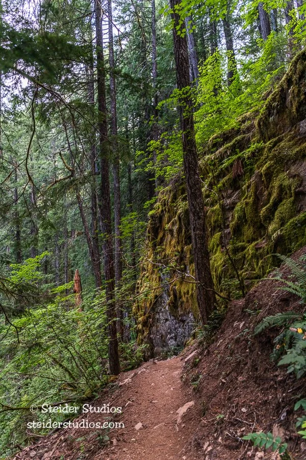 Steider Studios.Panther Crk Trail.7.13.22.jpg