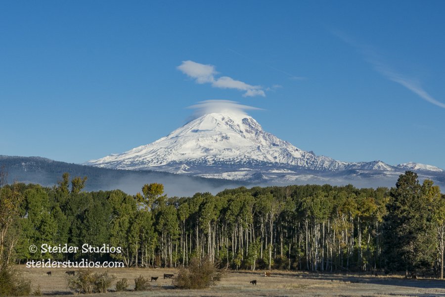 Steider Studios.ConboyLakeNWR.10.14.17.jpg