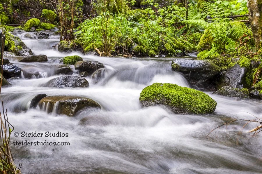 Steider Studios.Tanner Creek.4.27.14.jpg