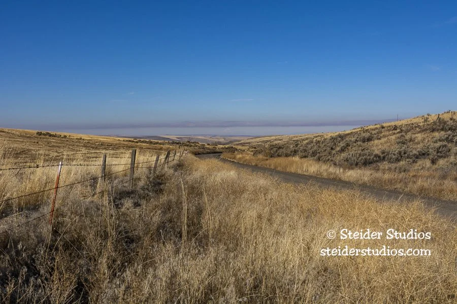 Steider Studios.Hale Ridge Rd.E of Condon.11.21.19.jpg