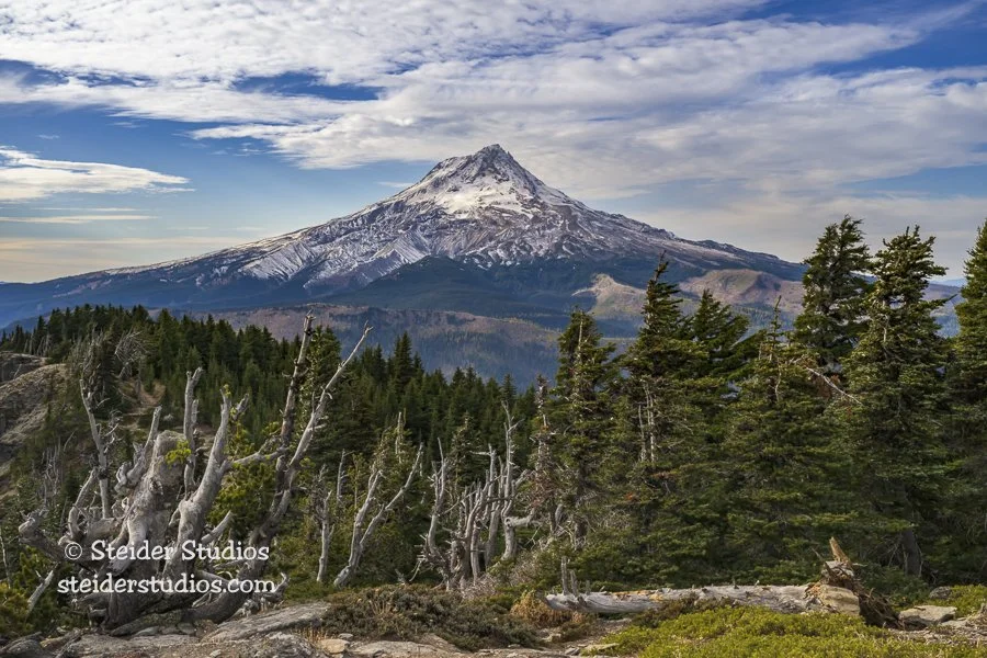 Steider Studios.Mt Hood.Lookout Mtn.Horiz.10.24.24.jpg