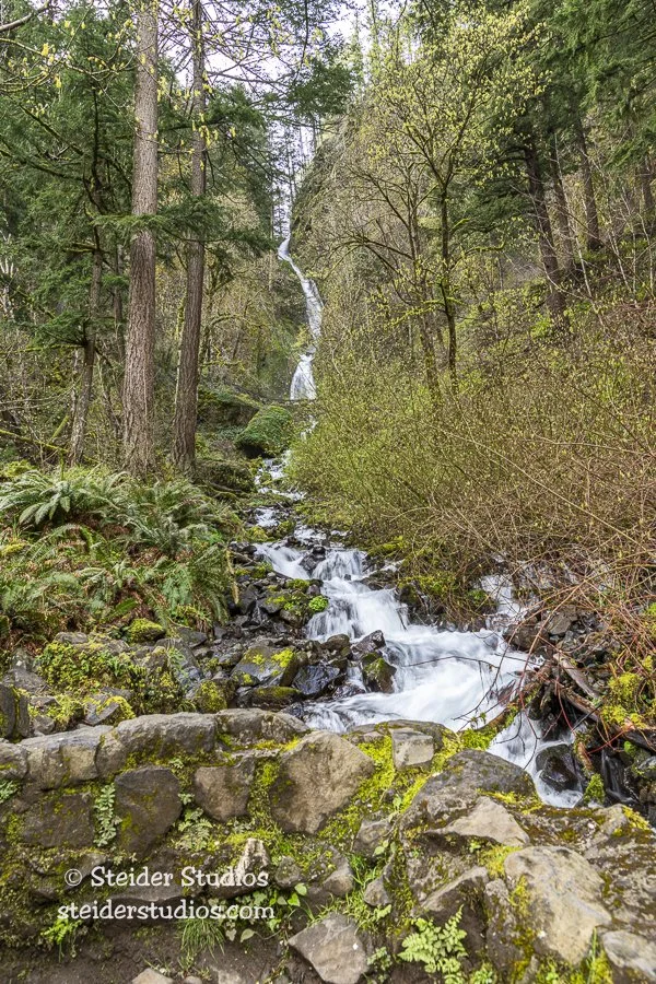 Steider Studios.Wahkeena Falls.4.5.22-2.jpg