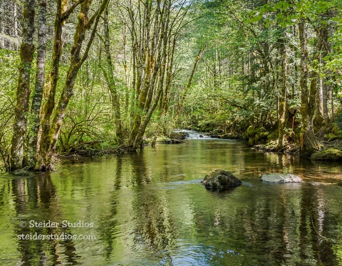 Steider Studios.5.May.Falls Creek.5.2.16.jpg
