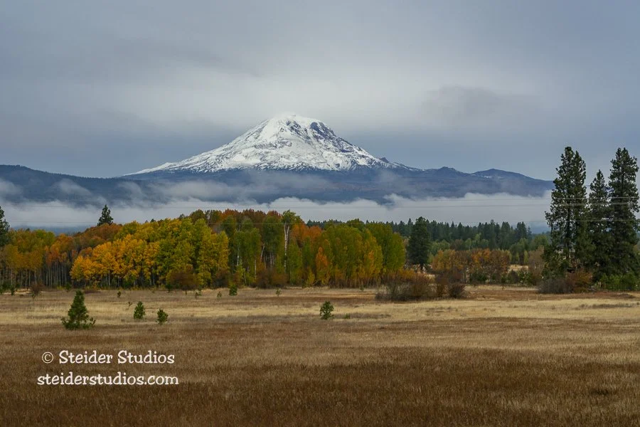 Steider Studios.Mt Adams.10.7.18.jpg