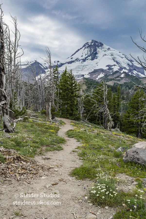 Steider Studios.Mt Hood.6.28.15-2.jpg