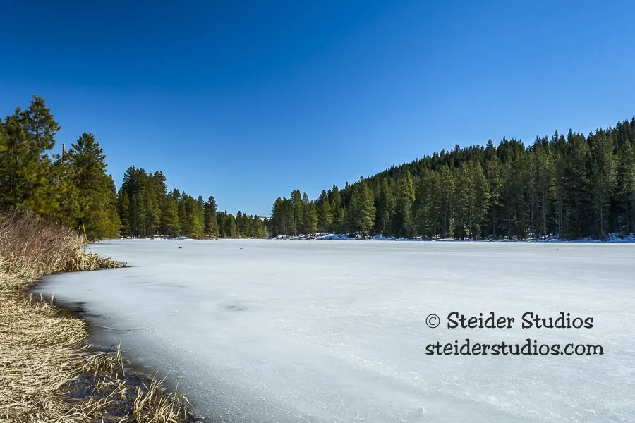 Steider Studios.Frozen Mill Pond.3.18.19.jpg