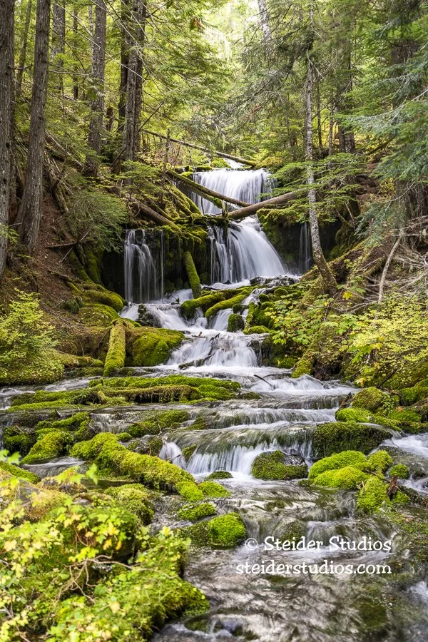 Steider Studios.Big Spring Creek.10.7.20.jpg