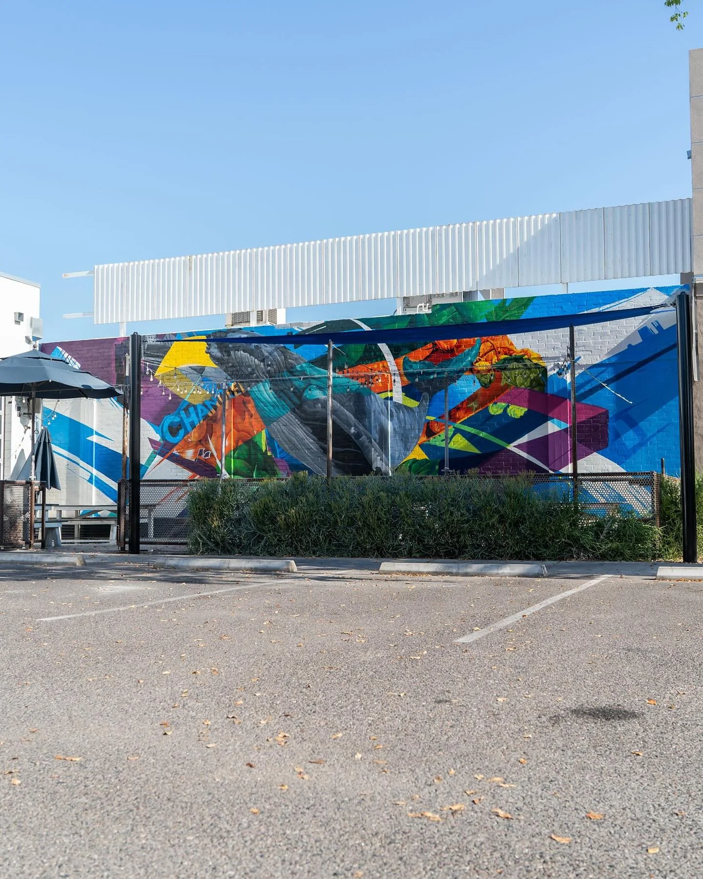 WHALE THAT&rsquo;S A NICE LOOKING PATIO 🐳

We&rsquo;re ready for patio season! We can&rsquo;t wait for things to cool off so we can officially enjoy the renovations without breaking out in a sweat.. 🥵

In the mean time, grab some shade if we&rsquo;