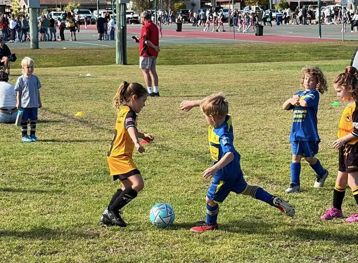 175952235e1717a5599e857edcfc639c.jpg