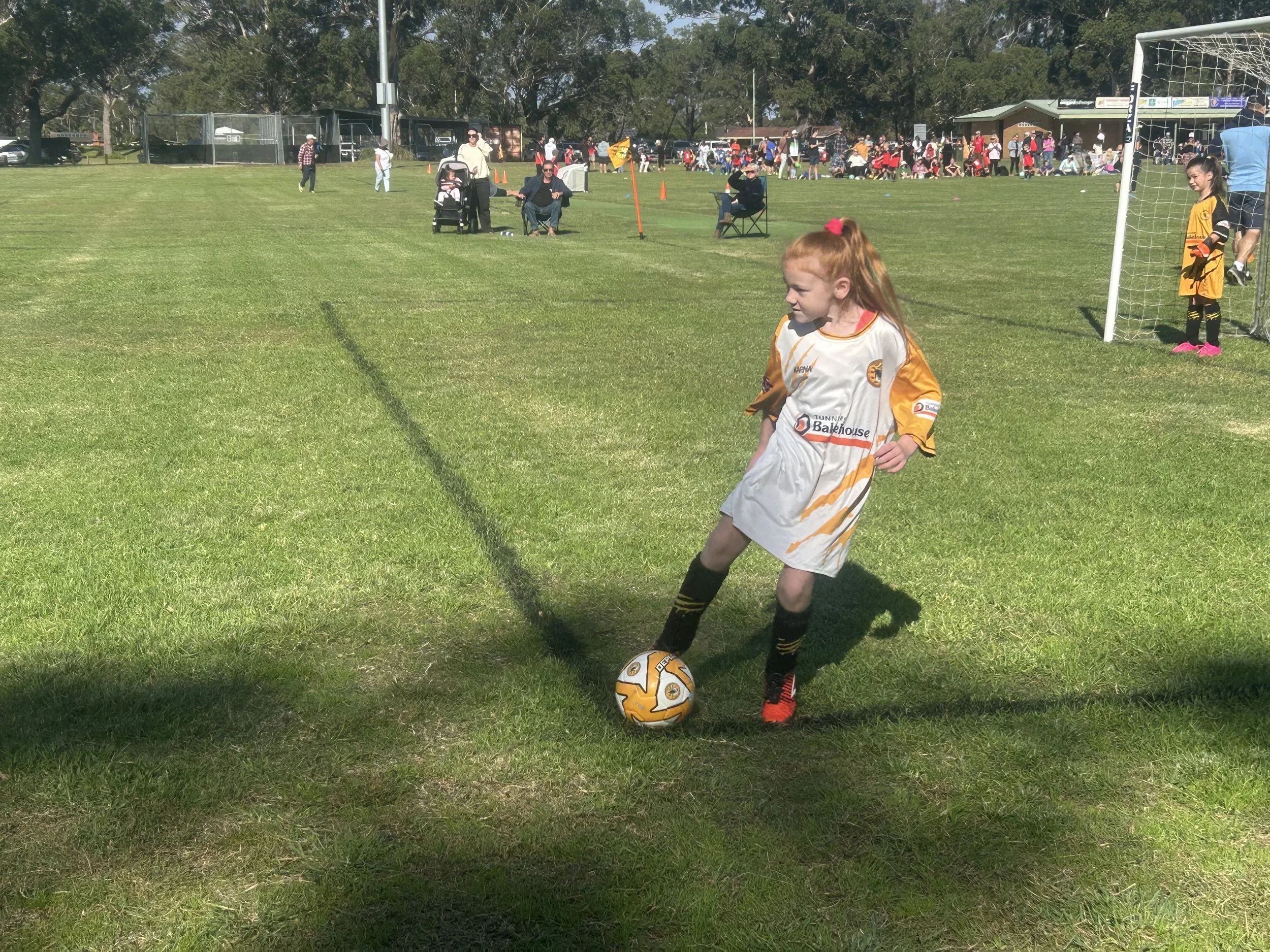 IMG_7076.jpeg
