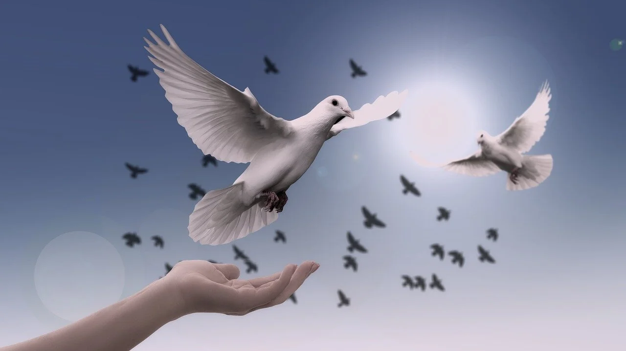 Awakening Mediumship &amp; The Mourning Dove