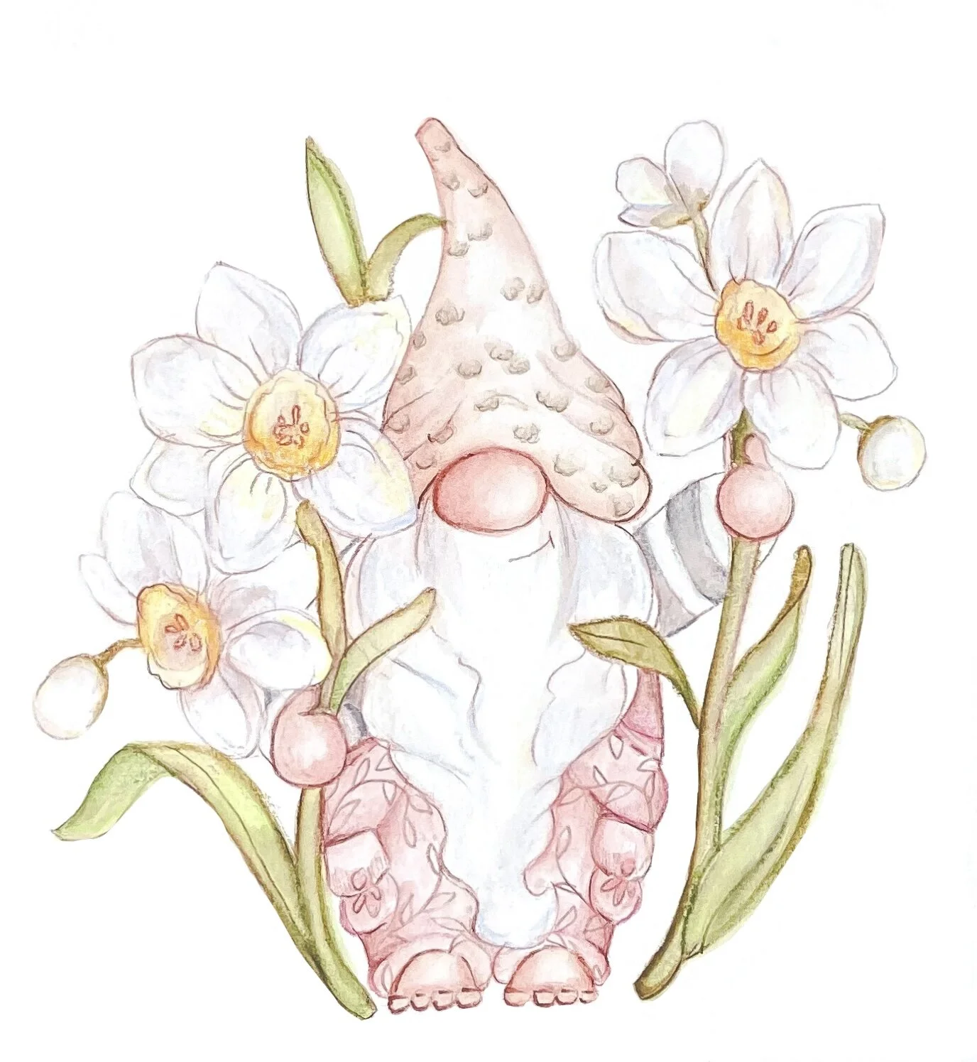 Garden Gnome Print Narcissus Flower December Birth Month Watercolor reproduction