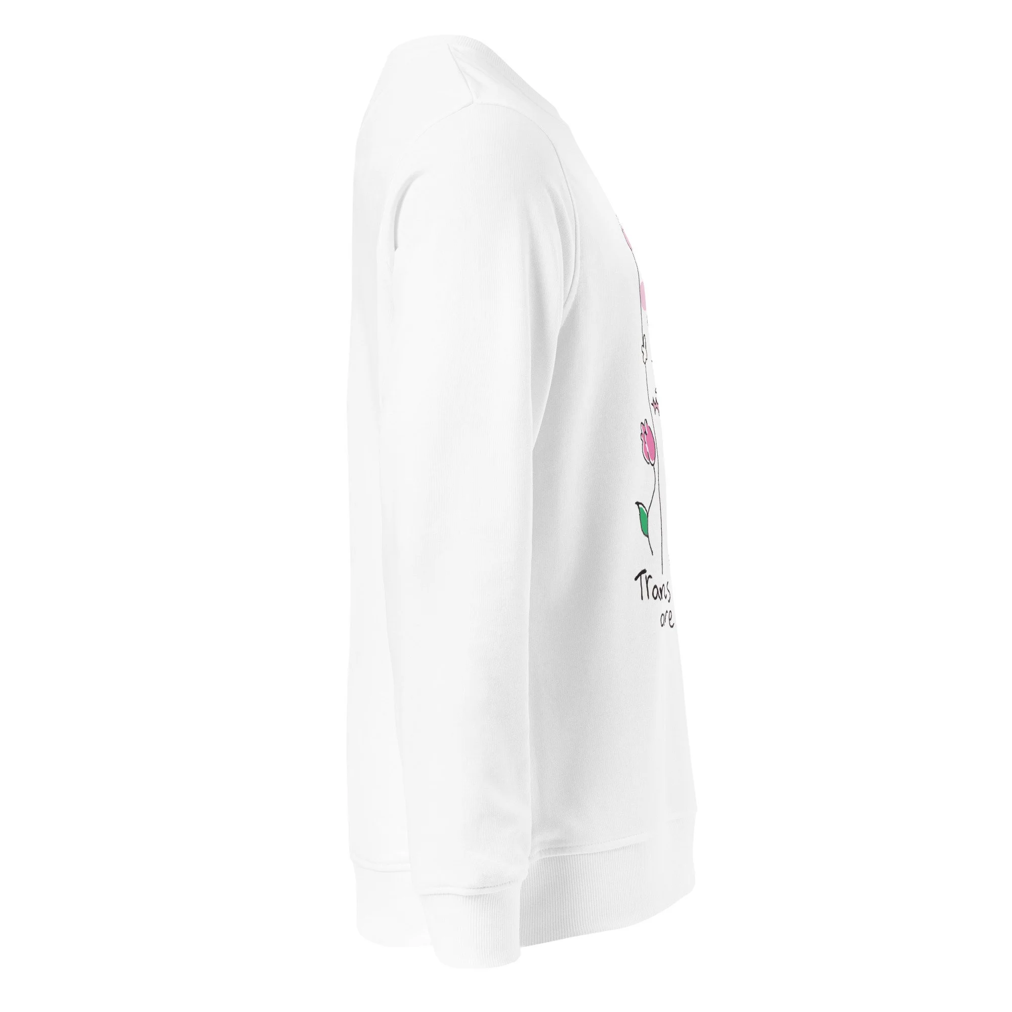 unisex-organic-sweatshirt-white-right-68a7af1e69972.jpg