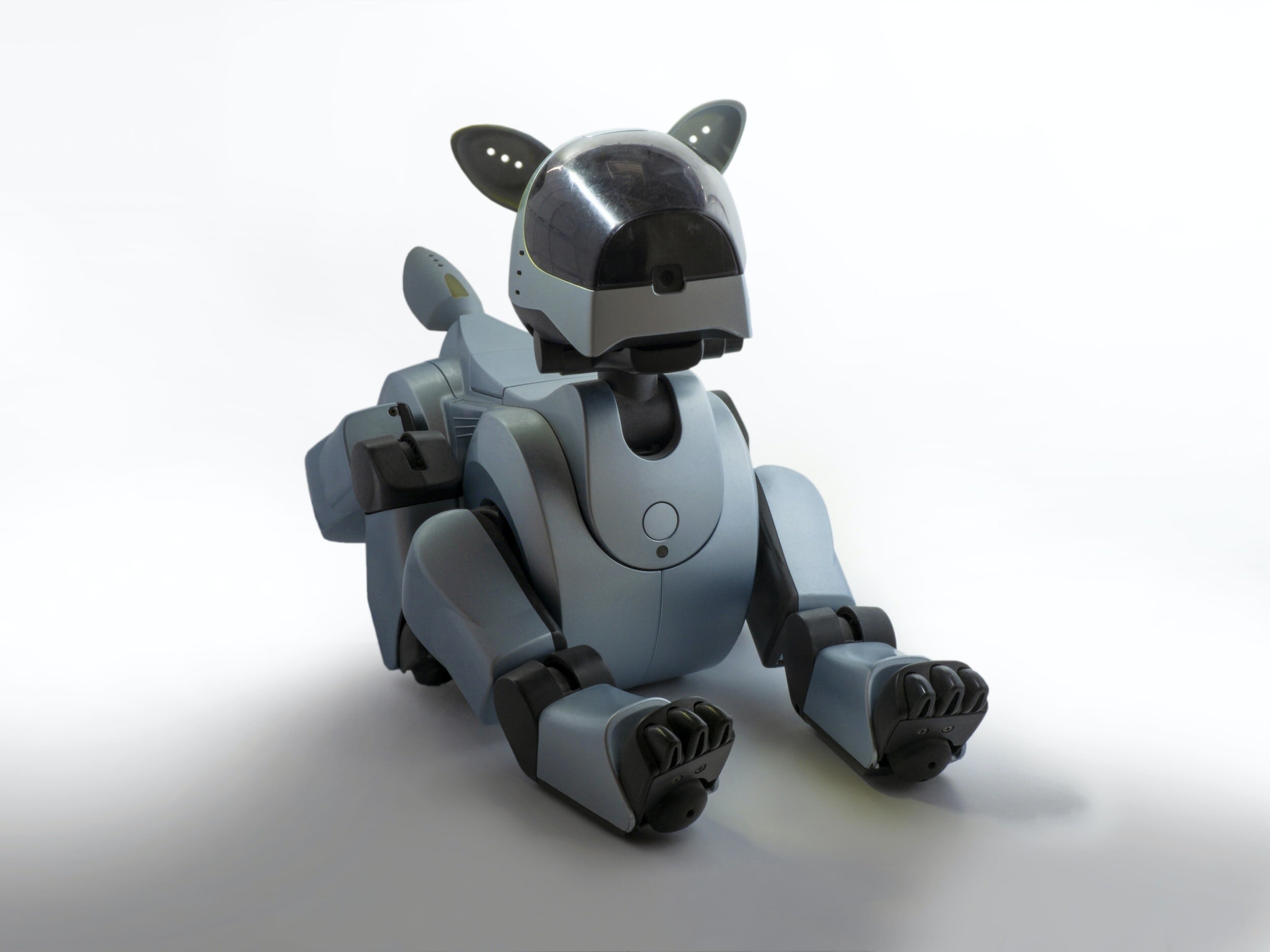 Toy 1