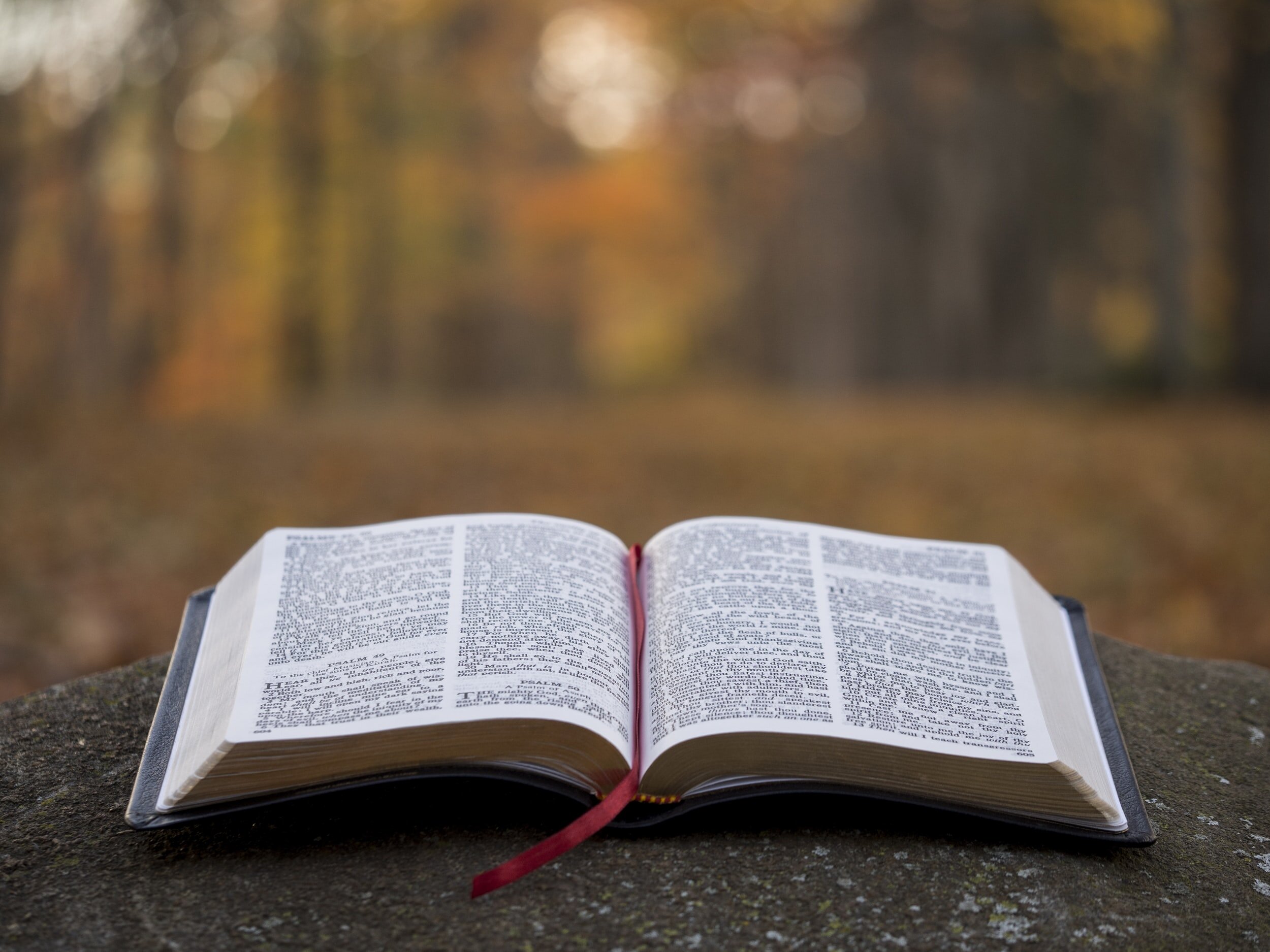 New Bible for Jason