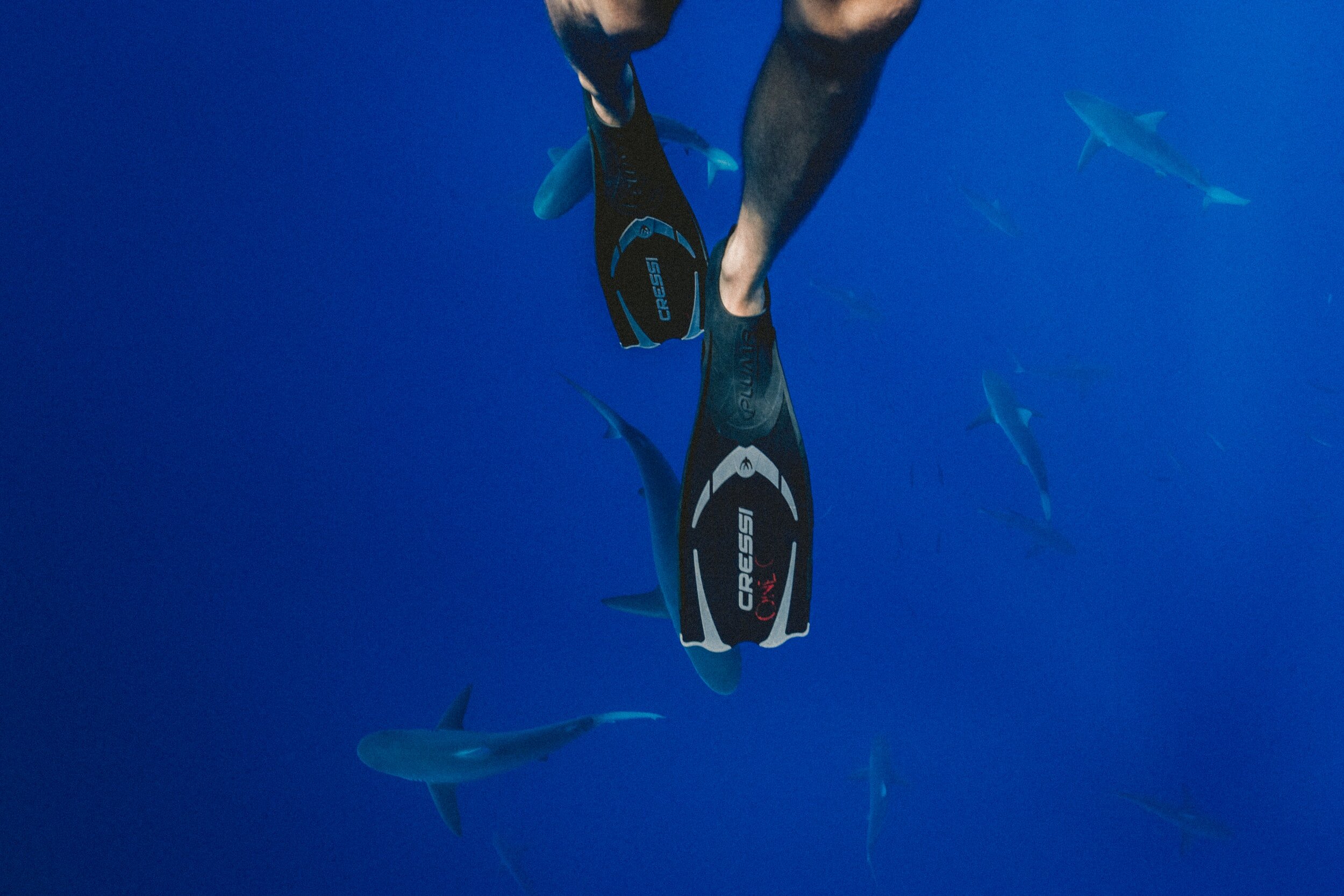 Snorkling Gear