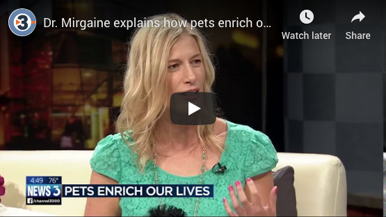JUNE 2018   |   How pets enrich our lives