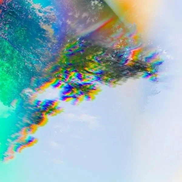 Why self-trust (not control) is the real work in healing food + body struggles