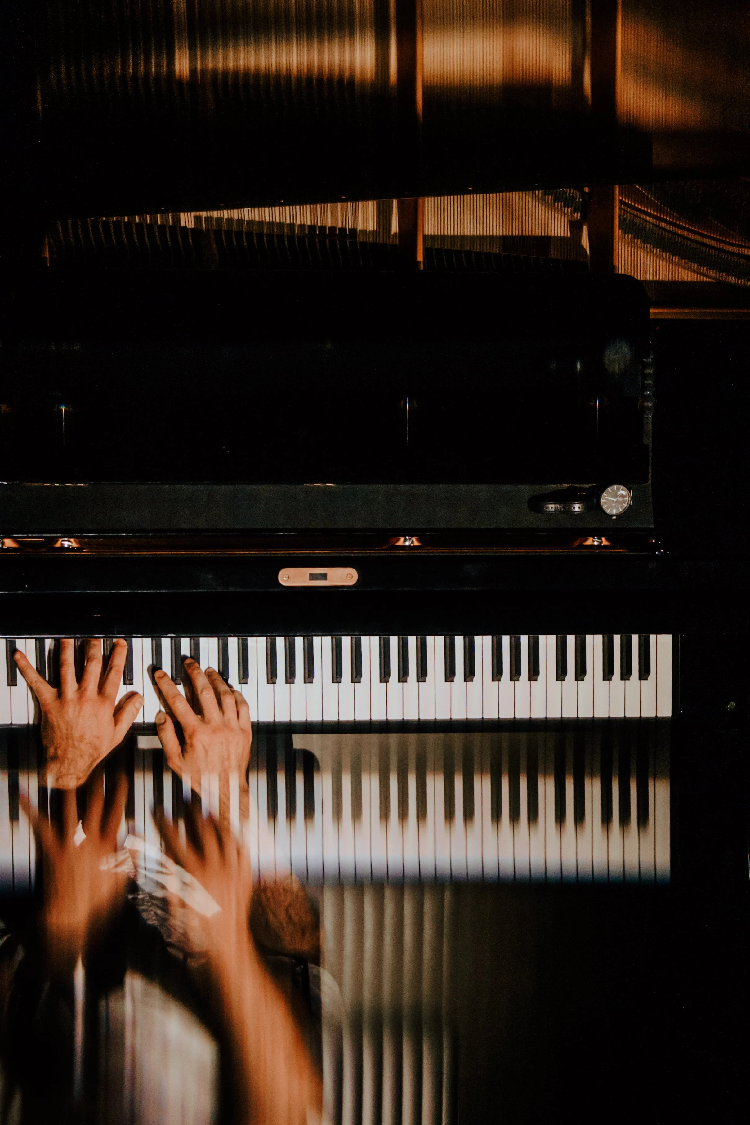 PhoenixCentralPark_ SullaLingua-AnthonyPateras_111125_Credit_@byravyna_ravynajassani-18.jpg