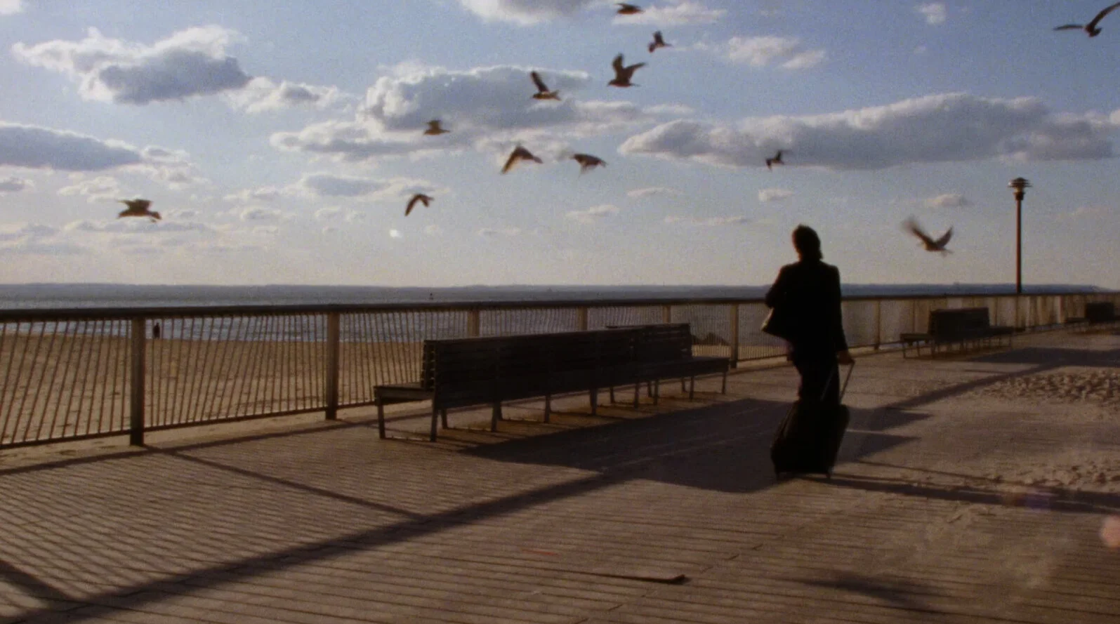  Director: Marina Charriton  Director of Photography: Cade Featherstone  Costume and Production Design: Sadra Tehrani    Shot on Film  NYU Grad Film 2019 