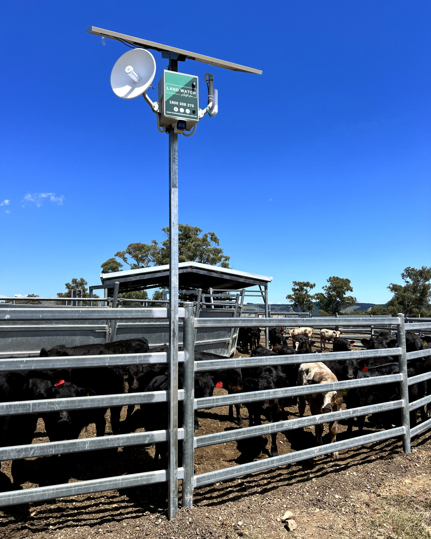 Cattle theft is a pandemic in the outback. We are helping to stamp out theft and rustling with camera systems installed on yards and ramps offering recorded footage, scheduled notifications for property owners alerting of vehicles and trucks stopping