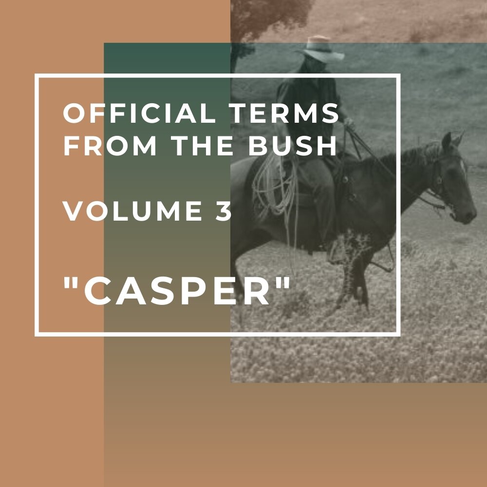 Official Terms from the Bush - volume 3 - &quot;Casper&quot;

The person who disappears when there&rsquo;s a task to do. 
Tag the casper in your life below 👇🏼