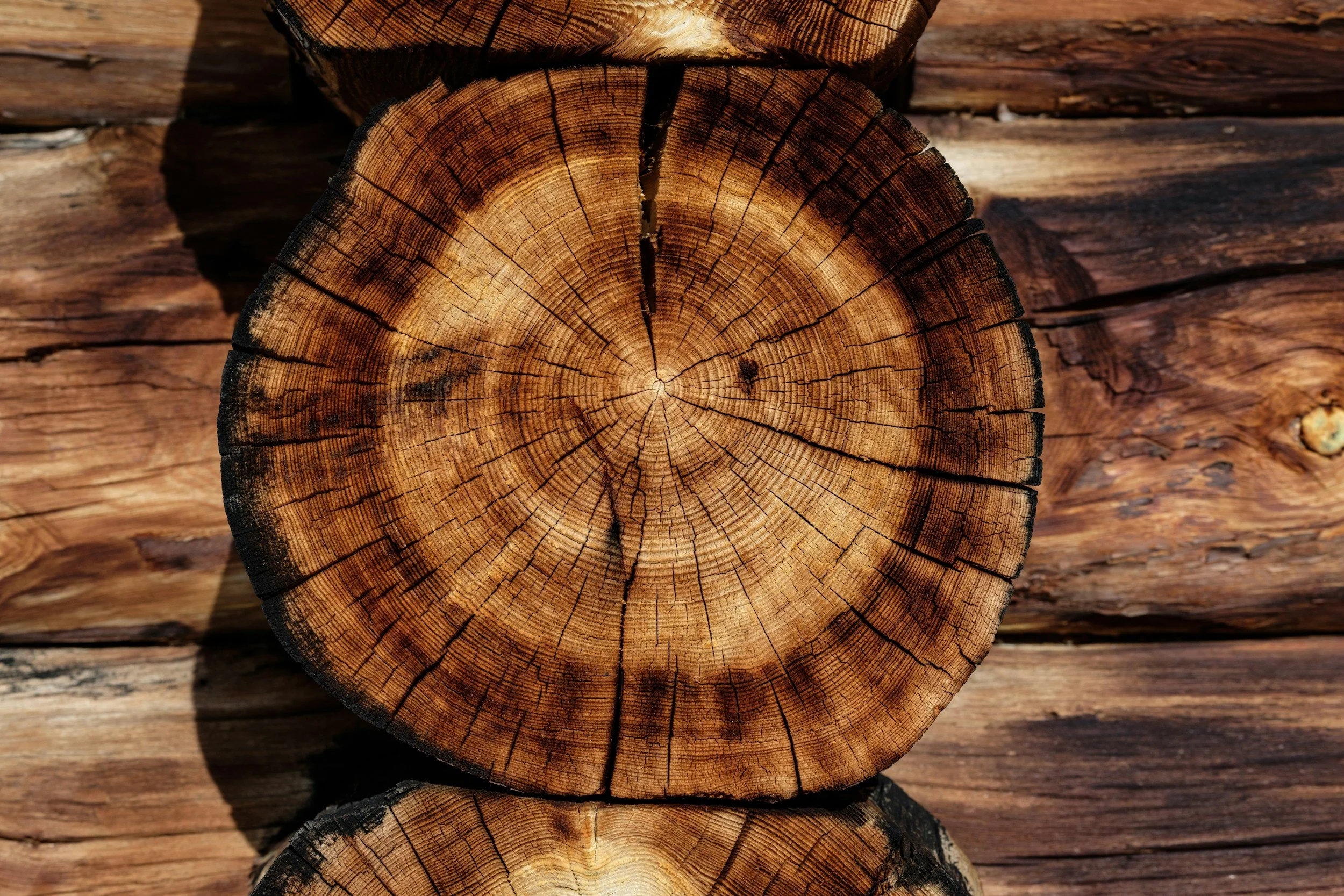 Close-up of a wooden log with visible growth rings and cracks, stacked on other logs.
