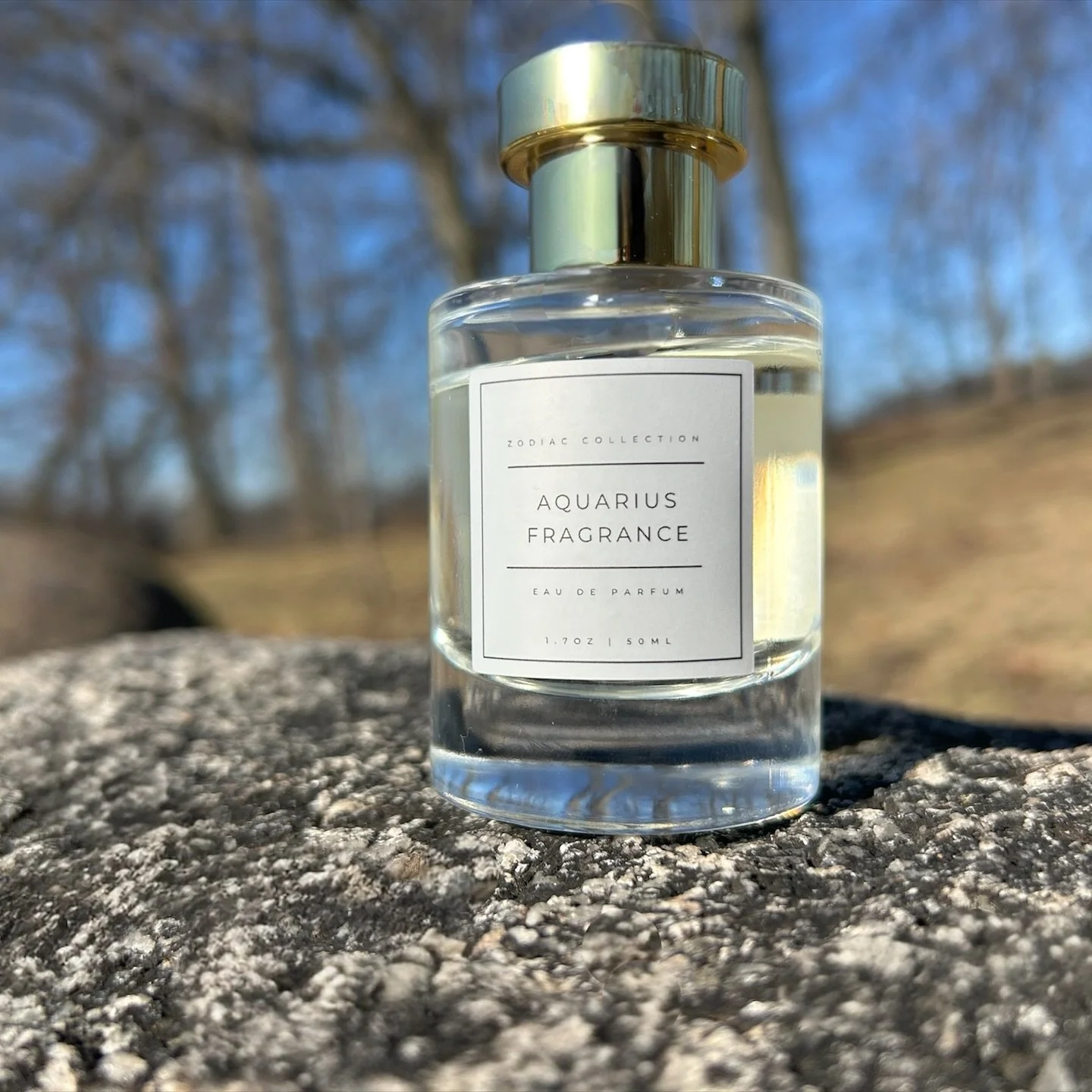 Aquarius SOTD ♒✨

Aquarians are the quiet disruptors&hellip; the visionaries who don&rsquo;t follow trends, they become them. Free-spirited yet deeply intentional, they move through the world with originality, compassion, and a perspective that feels