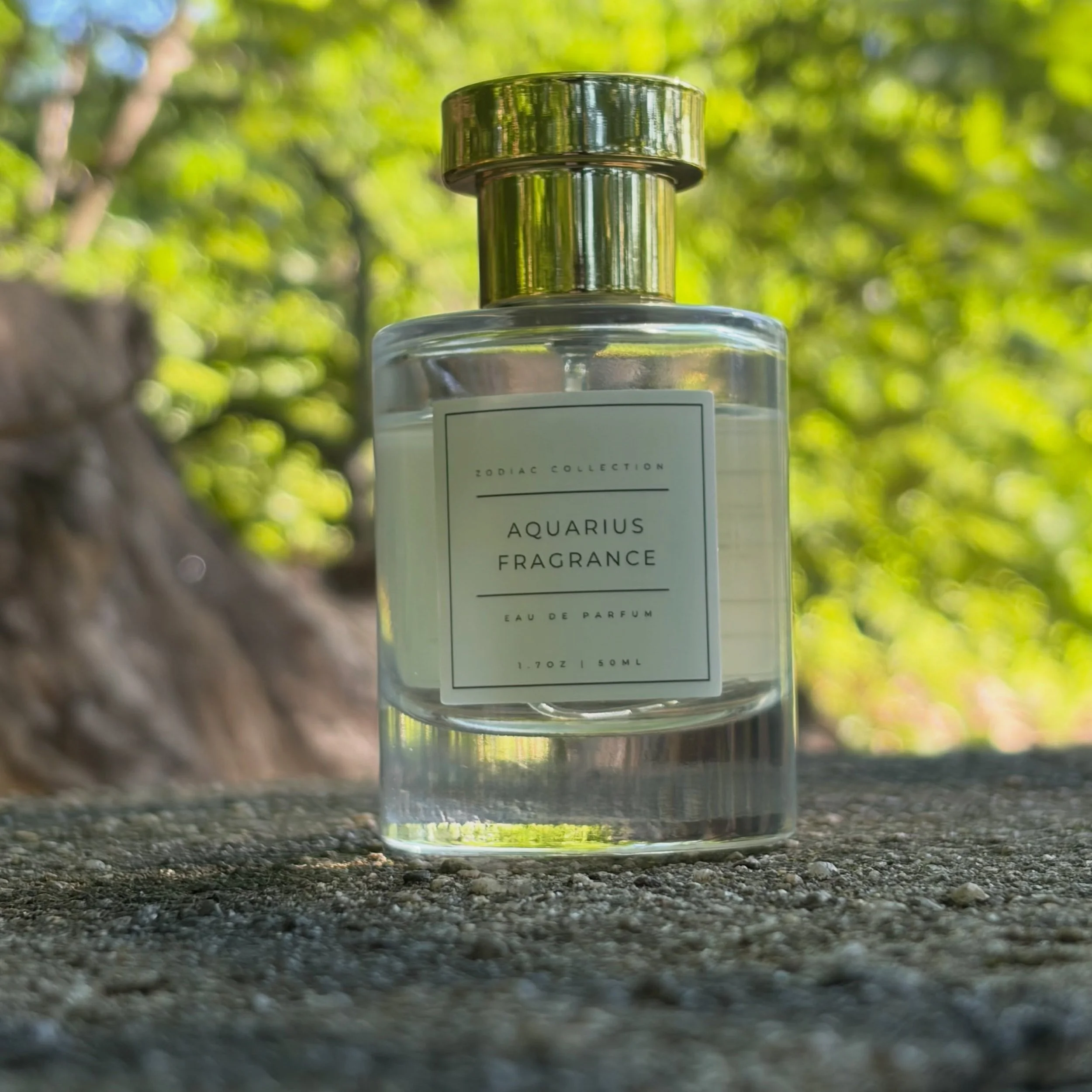 ✨SOTD &mdash; Aquarius ✨
The Aquarius fragrance is a scent that often gets slept on. But its dry down is what awakens its quiet storm. Just as most Aquarians are known for being free-spirited souls who are often lowkey 🤫

This is a perfect summer sc