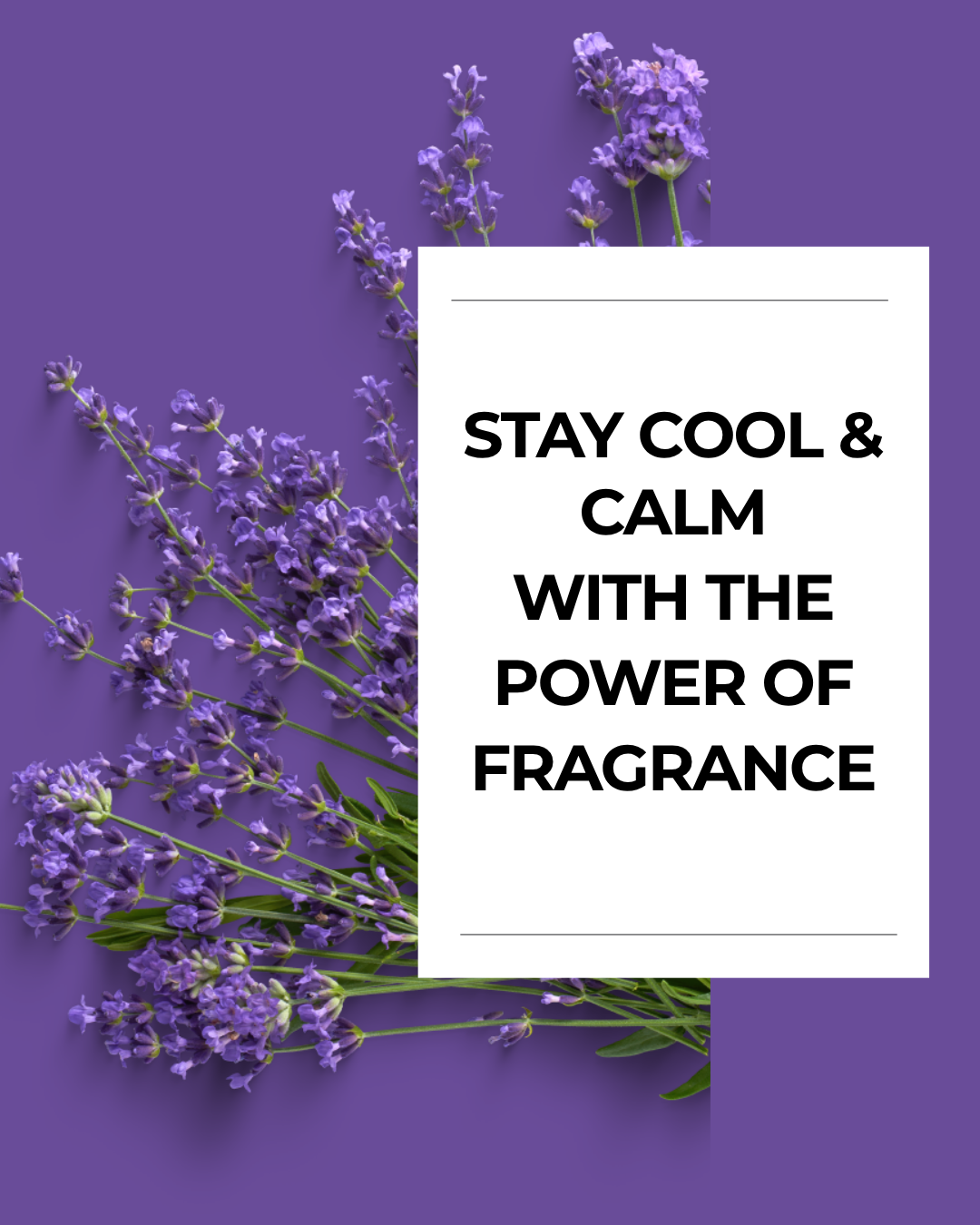 Stay Cool &amp; Calm with the Power of Fragrance